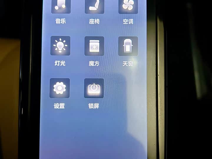 Фото 28 - Denza D9