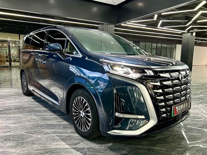 Фото 3 - Denza D9