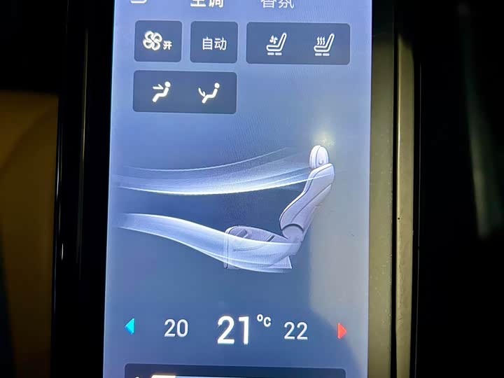 Фото 30 - Denza D9