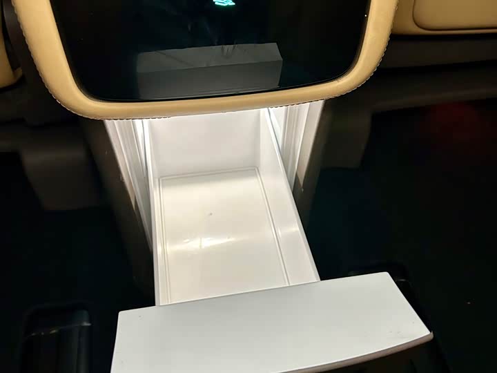 Фото 33 - Denza D9