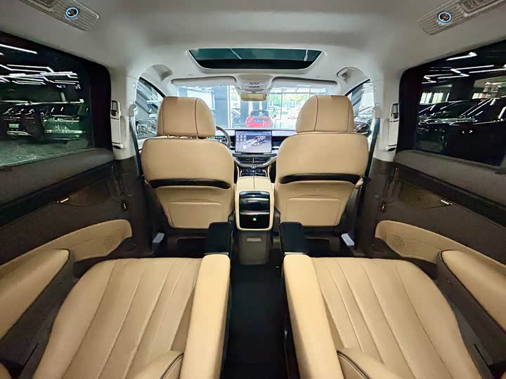 Фото 34 - Denza D9