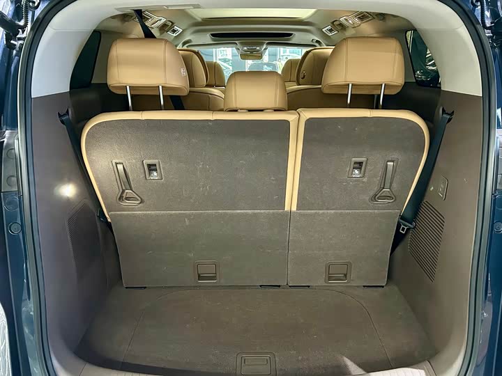 Фото 37 - Denza D9