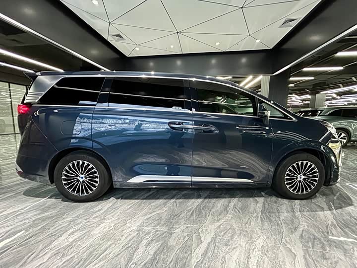 Фото 4 - Denza D9