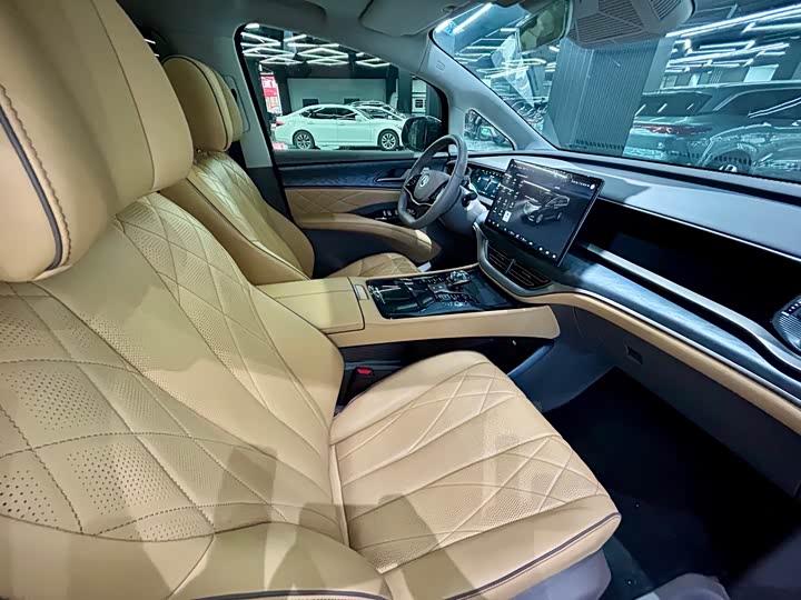 Фото 41 - Denza D9