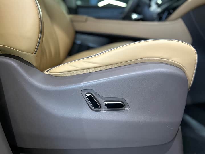 Фото 42 - Denza D9