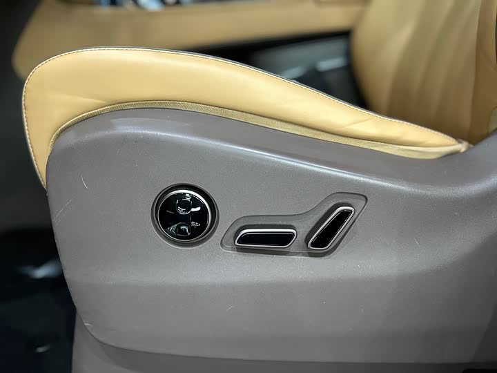 Фото 44 - Denza D9