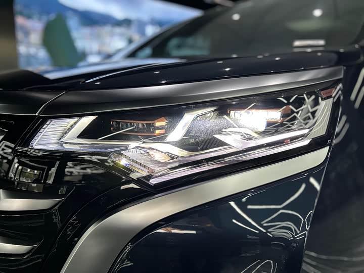 Фото 45 - Denza D9