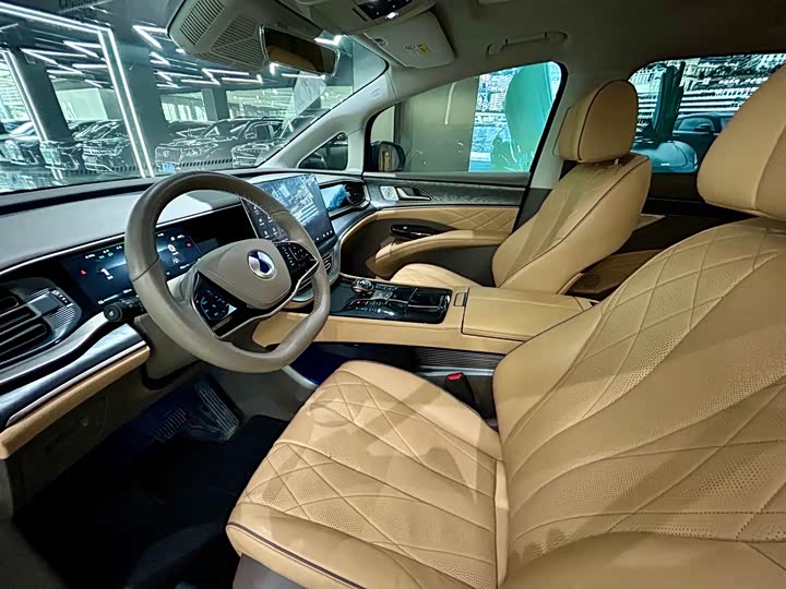 Фото 9 - Denza D9