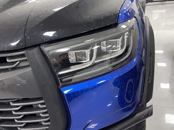 Фото 3 - Great Wall Pao