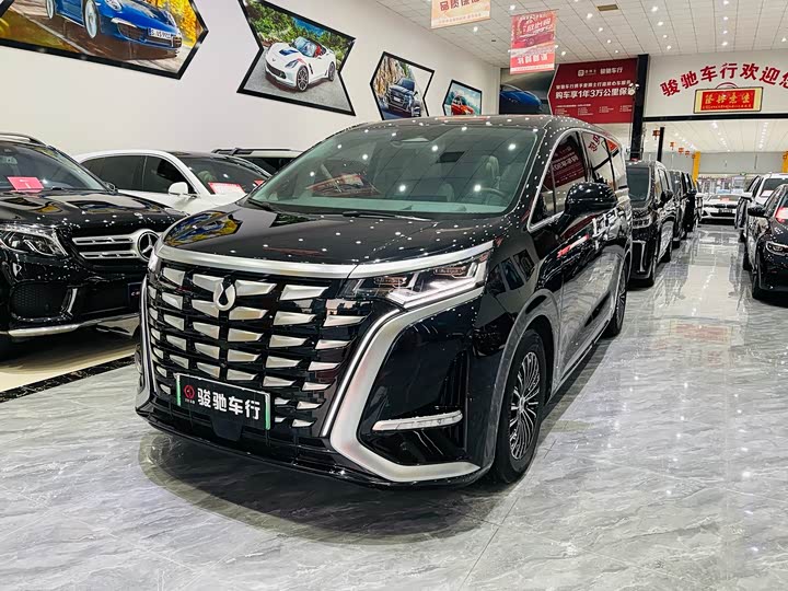 Фото 1 - Denza D9