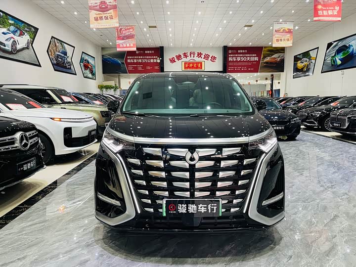 Фото 2 - Denza D9