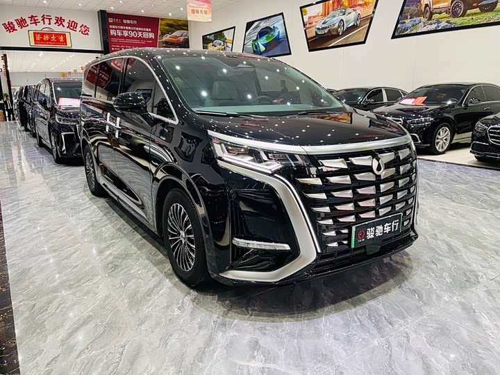 Фото 3 - Denza D9