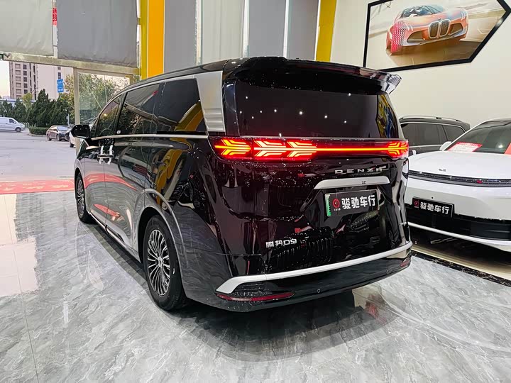 Фото 9 - Denza D9