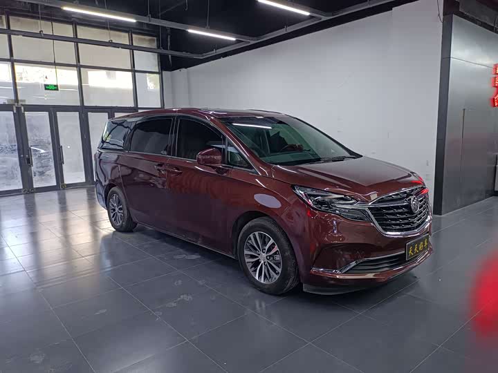 Фото 2 - Buick GL8 ES