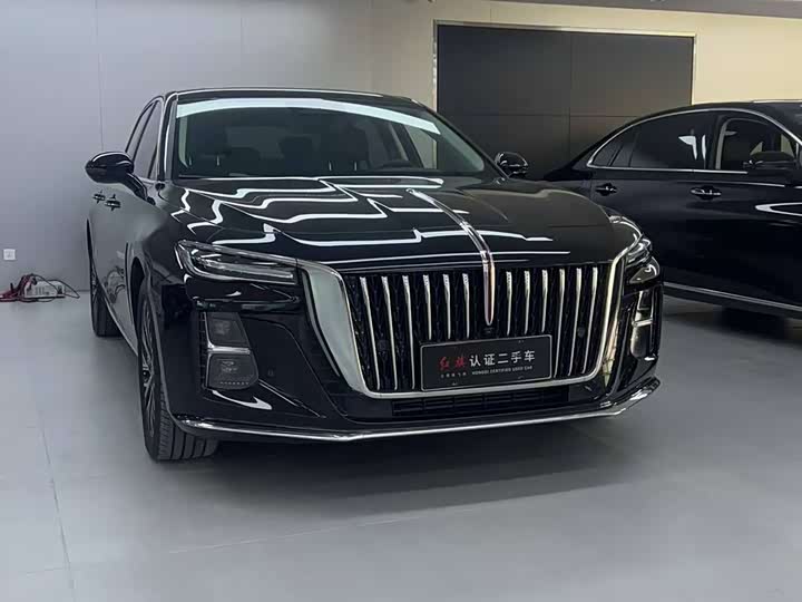 Фото 2 - Hongqi H5