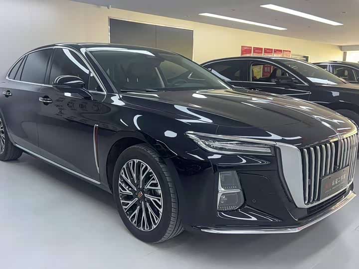 Фото 3 - Hongqi H5