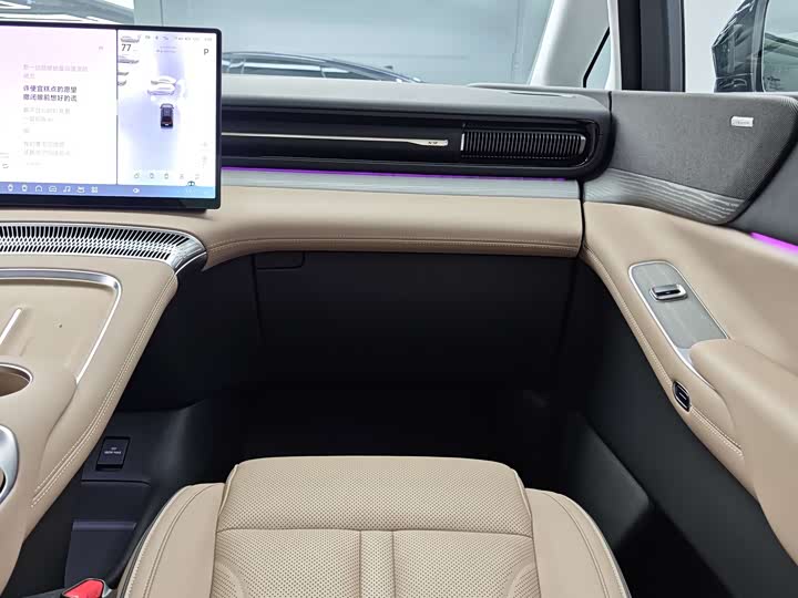 Фото 13 - XPeng X9