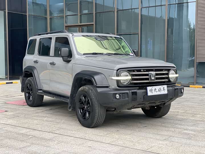 Фото 3 - Tank 300