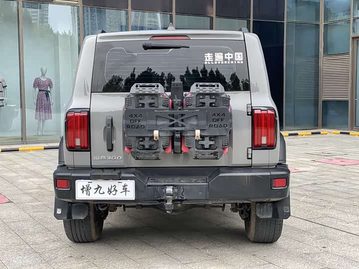 Фото 4 - Tank 300