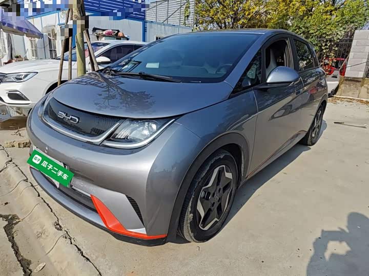 Фото 2 - BYD Dolphin