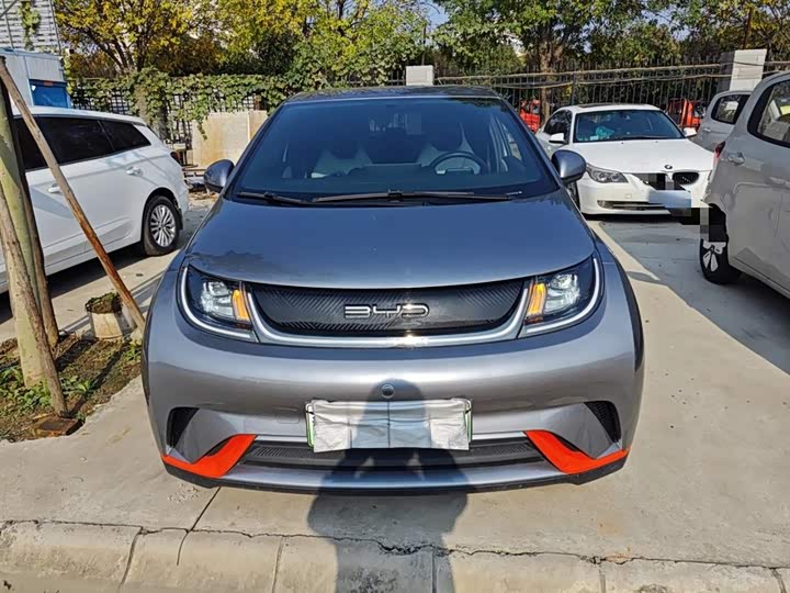 Фото 3 - BYD Dolphin