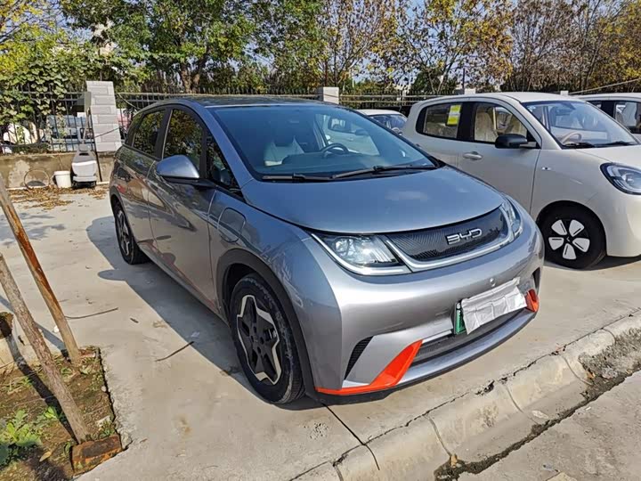 Фото 4 - BYD Dolphin