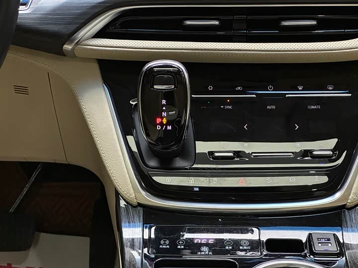 Фото 12 - Buick GL8 ES