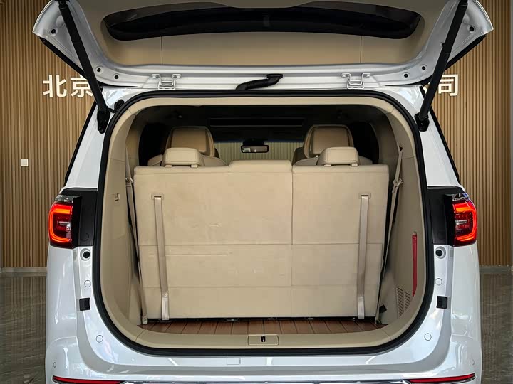 Фото 15 - Buick GL8 ES