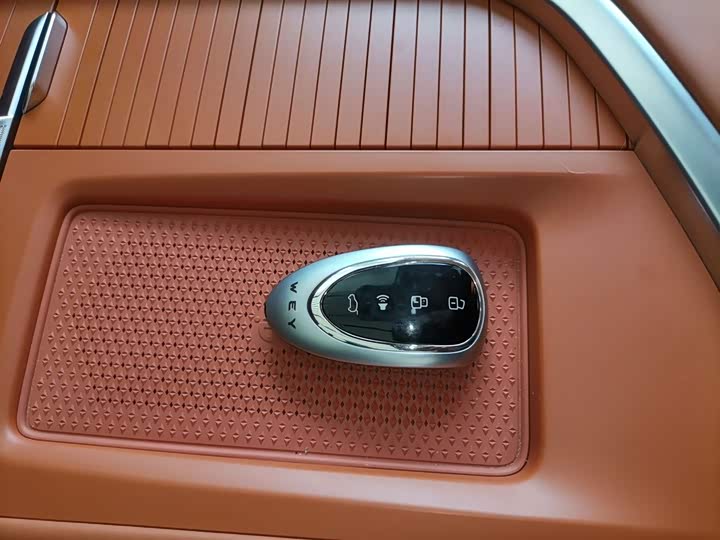 Фото 9 - Wey Lanshan