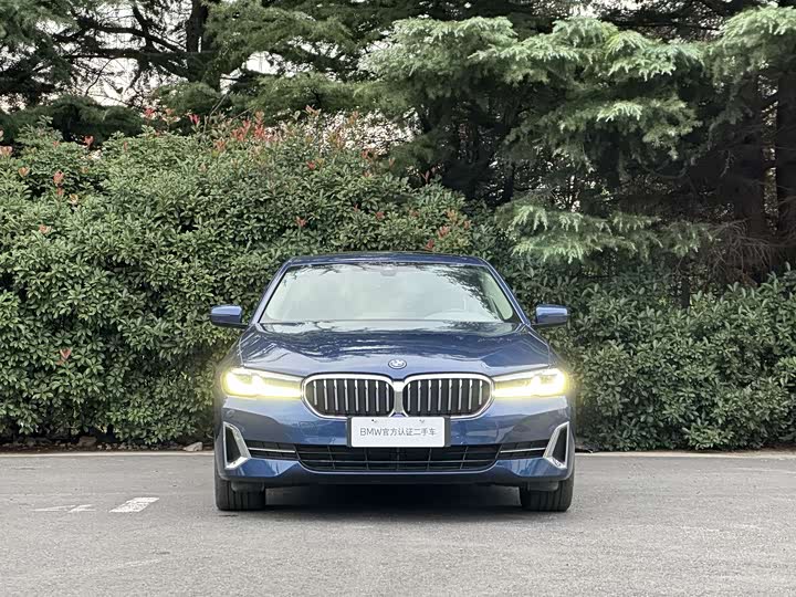 Фото 2 - BMW 5 Series Hybrid