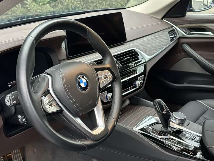 Фото 8 - BMW 5 Series Hybrid
