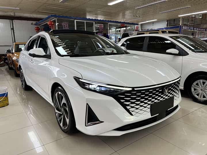 Фото 3 - Changan Raeton Plus