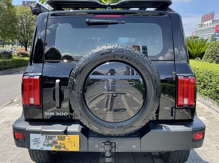 Фото 12 - Tank 300