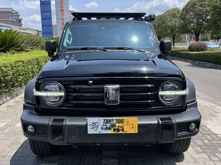 Фото 2 - Tank 300