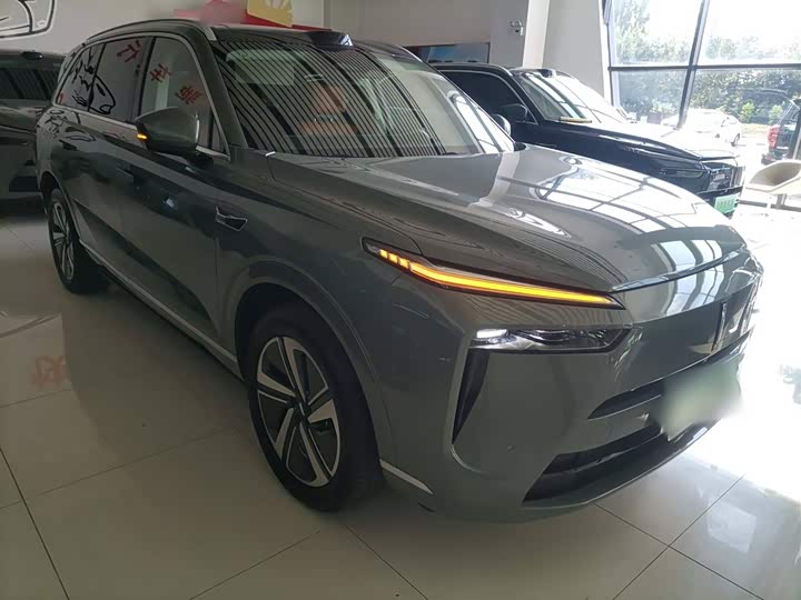 Фото 4 - Wey Lanshan