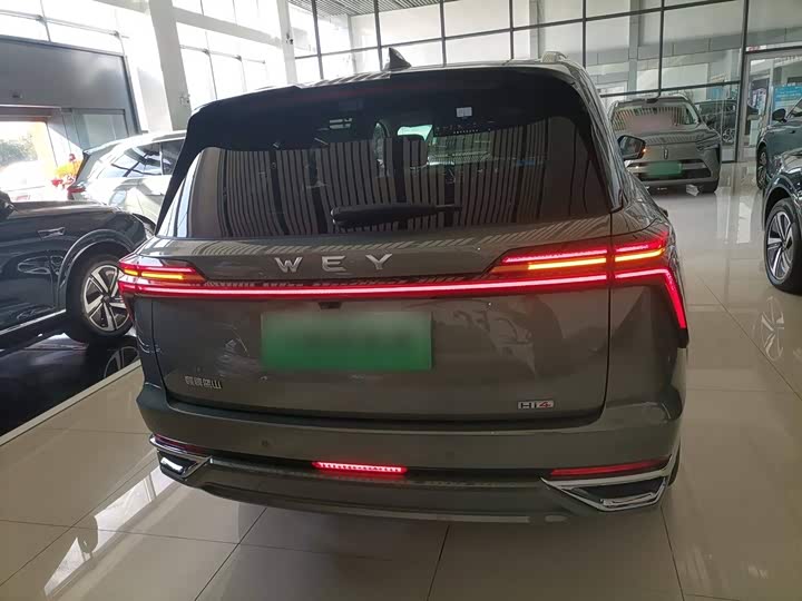 Фото 6 - Wey Lanshan