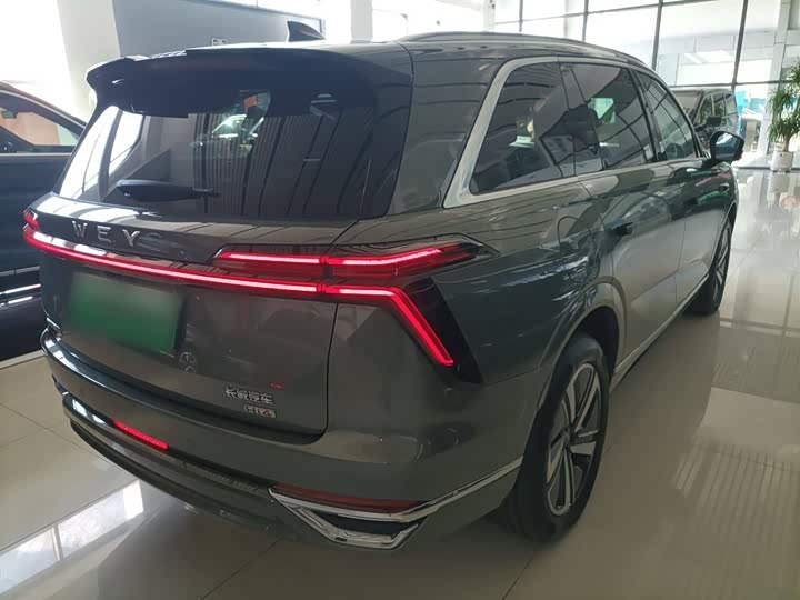 Фото 7 - Wey Lanshan