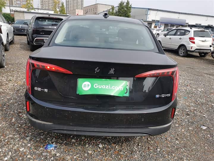 Фото 6 - Hongqi E-QM5