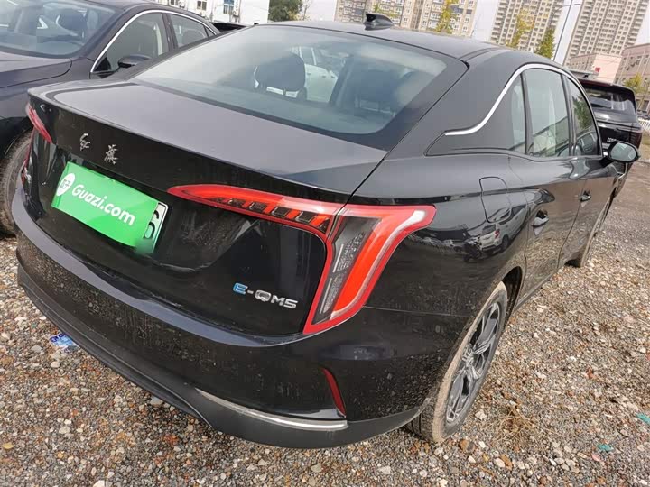 Фото 7 - Hongqi E-QM5