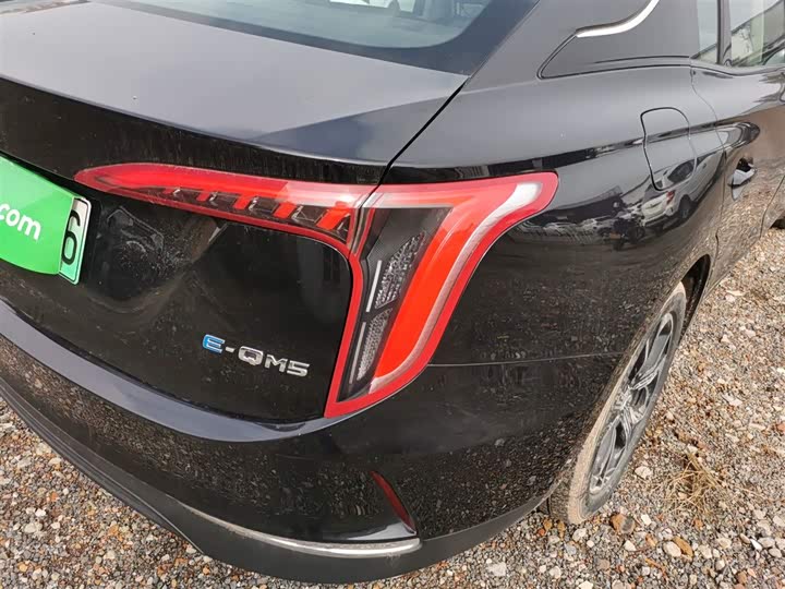 Фото 8 - Hongqi E-QM5