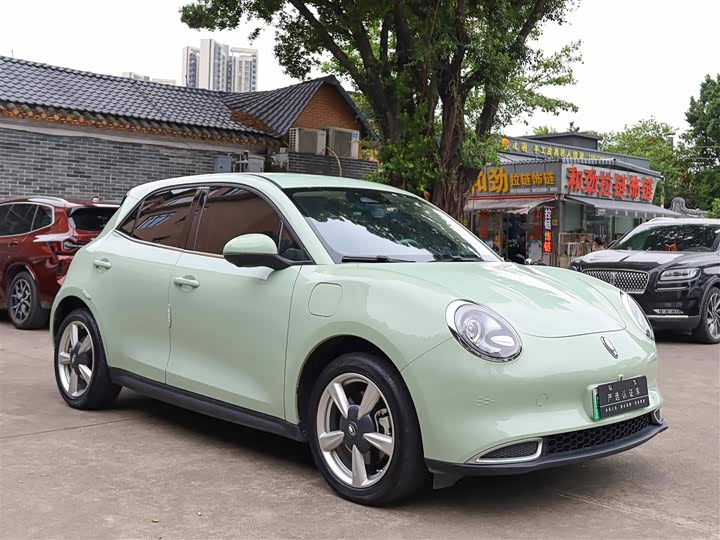 Фото 3 - Ora Good Cat (03)