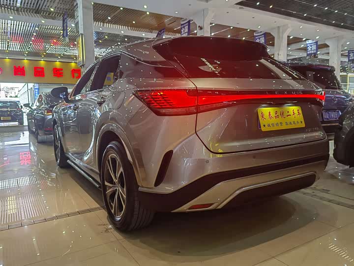 Фото 14 - Lexus RX