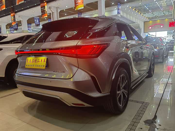 Фото 16 - Lexus RX