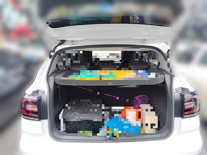 Фото 10 - Volkswagen Tacqua