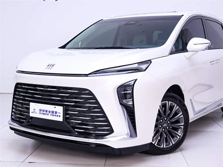 Фото 3 - Buick GL8 ES