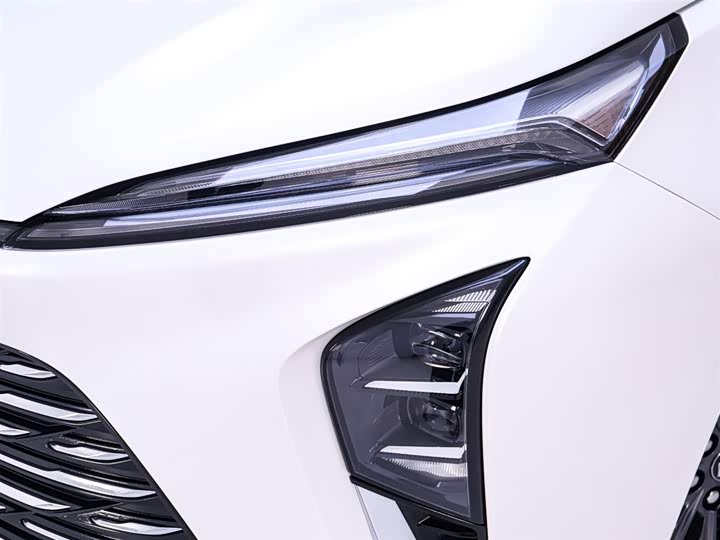 Фото 4 - Buick GL8 ES