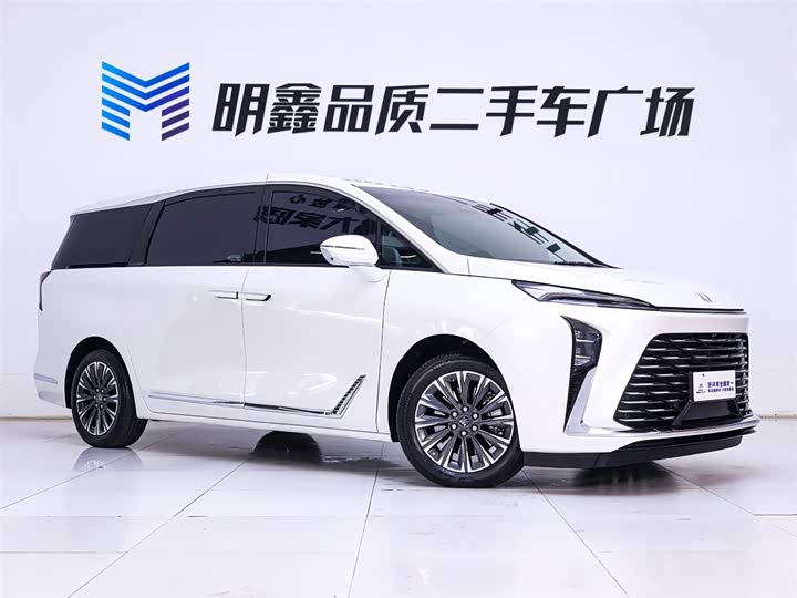 Фото 5 - Buick GL8 ES