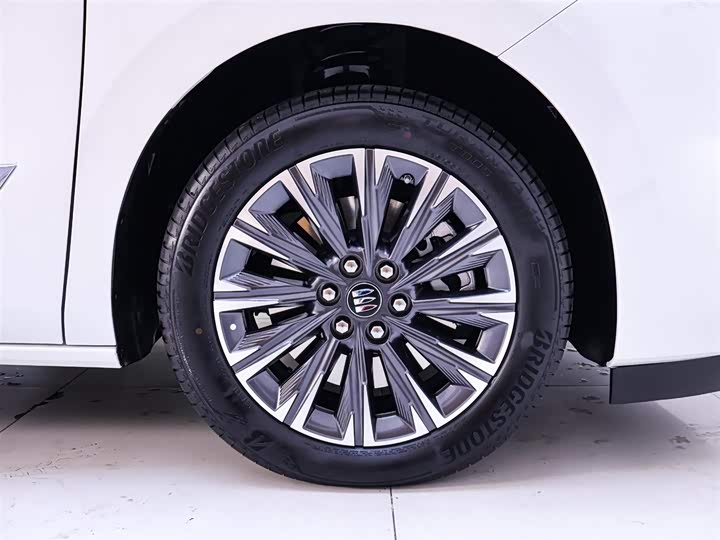 Фото 6 - Buick GL8 ES