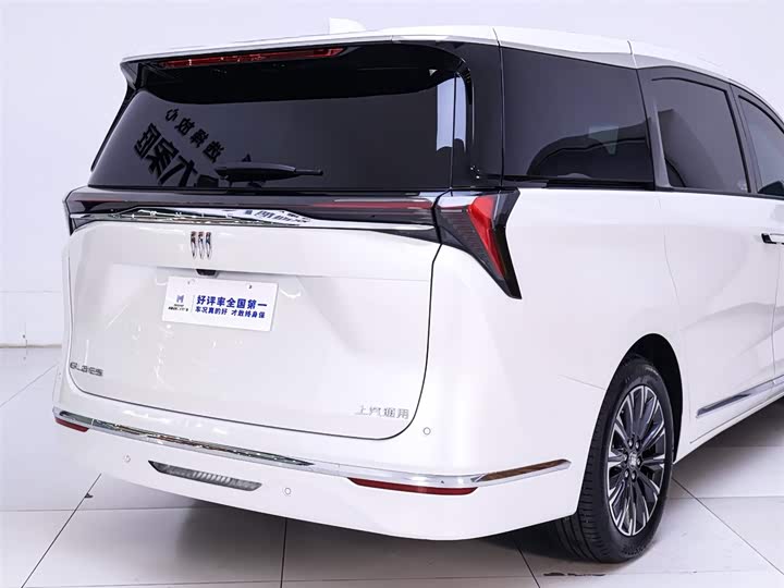 Фото 8 - Buick GL8 ES