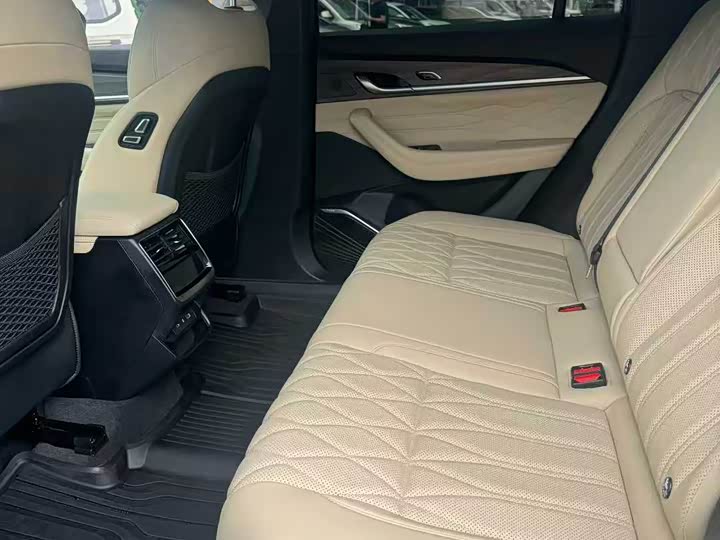 Фото 6 - Geely Monjaro